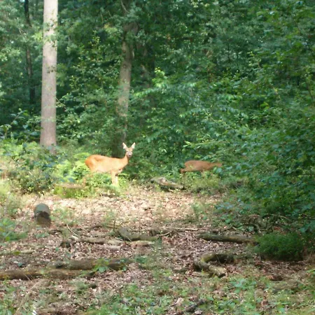Dom wakacyjny 52 Horalaan Bennekom